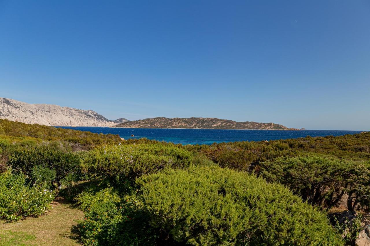Appartamento Cala Paradiso San Teodoro (Sardinia) Exterior foto